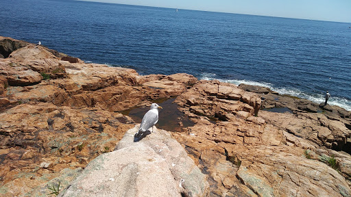 Park «Rafes Chasm Park», reviews and photos, 138 Hesperus Ave, Gloucester, MA 01930, USA