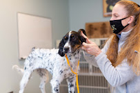 Quinebaug Kennels: QK Dogs - Photo 3 - Car repair in Canterbury, CT, Norwich