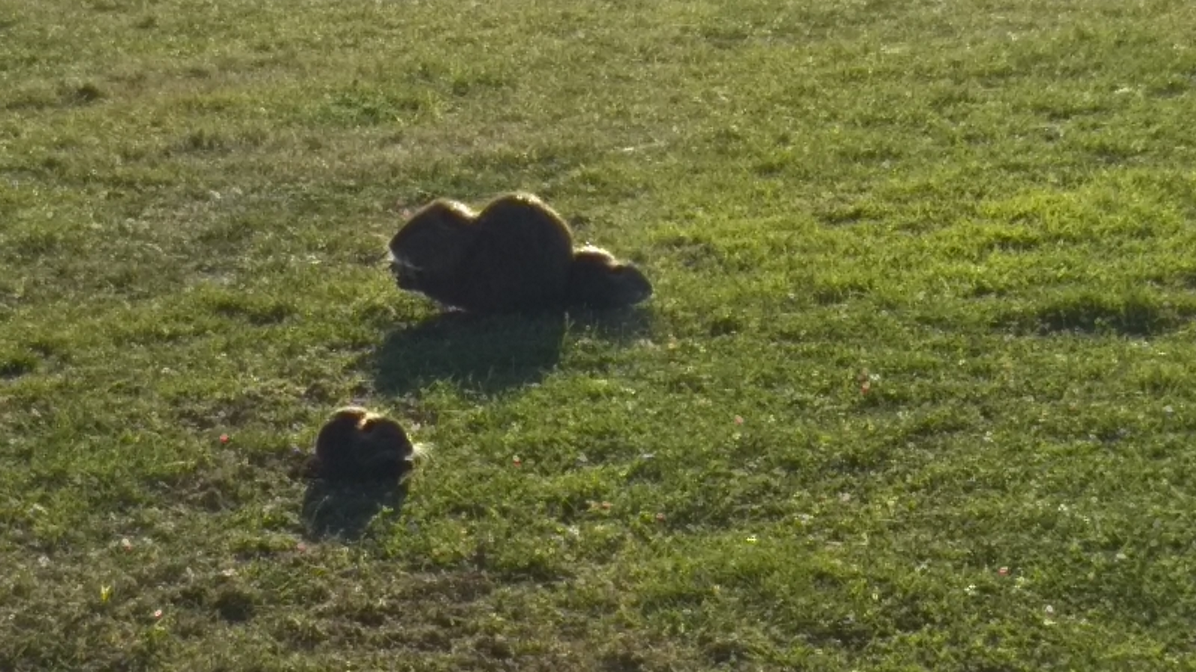 Photo n° 1 de l'avis de Jyotii.r fait le 17/11/2018 à 16:09