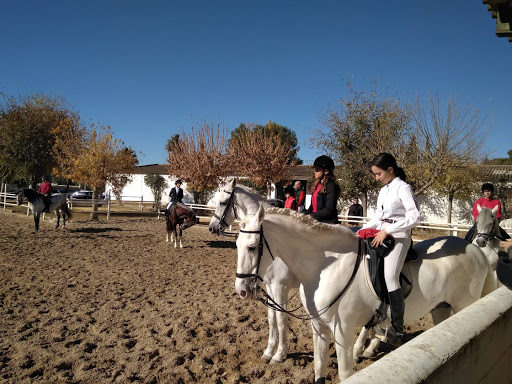 Escuela De Equitacion Al - Andalus