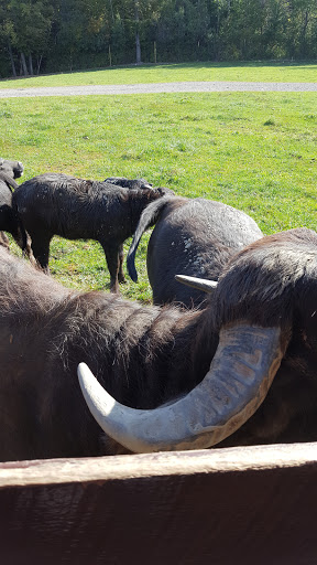 Restaurant «Hidden Valley Animal Adventure», reviews and photos, 2887 Royce Rd, Varysburg, NY 14167, USA