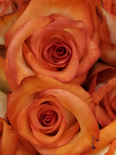 Grocery Store «Safeway», reviews and photos, 500 Cleveland Ave SE, Tumwater, WA 98501, USA