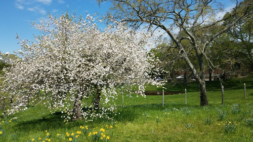 Museum «John Adams Birthplace - Adams National Historical Park», reviews and photos, 1250 Hancock St, Quincy, MA 02169, USA