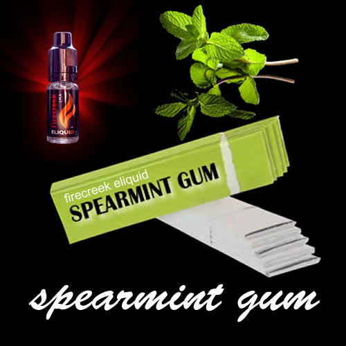 Tobacco Shop «Best Smoke», reviews and photos, 2120 S MacDill Ave, Tampa, FL 33629, USA