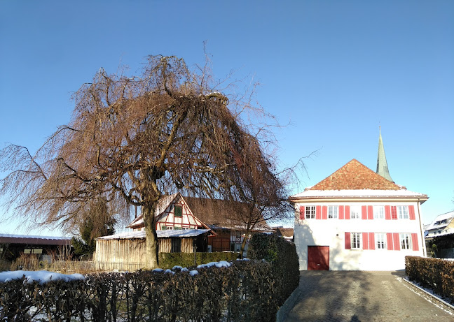 Reformierte Kirche Niederhasli - Kirche