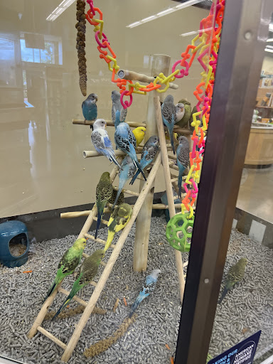 Pet Supply Store «Petco Animal Supplies», reviews and photos, 1210 Marvin Rd NE, Lacey, WA 98516, USA