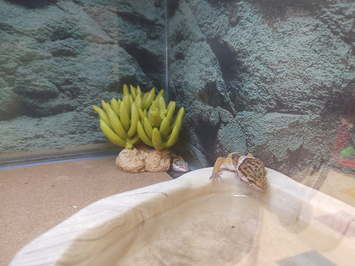 Pet Supply Store «Petco Animal Supplies», reviews and photos, 10383 Reisterstown Rd, Owings Mills, MD 21117, USA