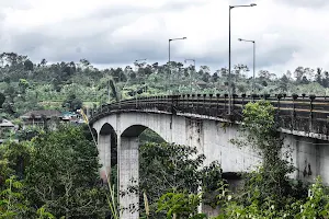 Jembatan Tukad Bangkung image