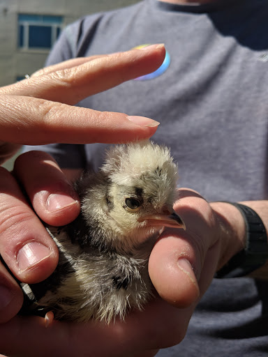 Art Museum «Taft Museum of Art», reviews and photos, 316 Pike St, Cincinnati, OH 45202, USA