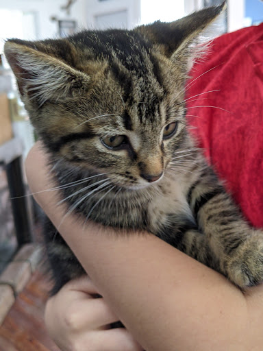 Barber Shop «The Little White House Barber Shop», reviews and photos, 11907 Fort King Hwy, Thonotosassa, FL 33592, USA