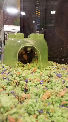 Pet Supply Store «PetSmart», reviews and photos, 4749 Valley View Blvd NW, Roanoke, VA 24012, USA