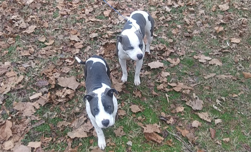 Pet Supply Store «Petco Animal Supplies», reviews and photos, 3835 Phoenix Ave, Fort Smith, AR 72903, USA