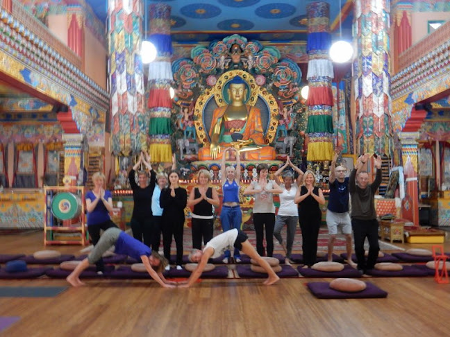 Praktijk Adamas, vind rust en vitaliteit - Yoga studio