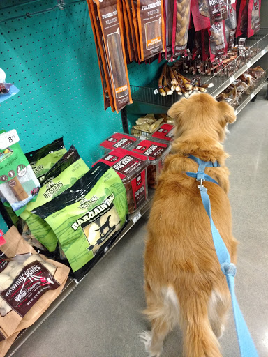 Pet Supply Store «Petco Animal Supplies», reviews and photos, 825 Brevard Rd, Asheville, NC 28806, USA