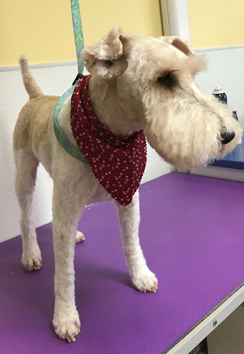 Pet Supply Store «Animal House Grooming & Quality», reviews and photos, 229 W Absecon Blvd, Absecon, NJ 08201, USA