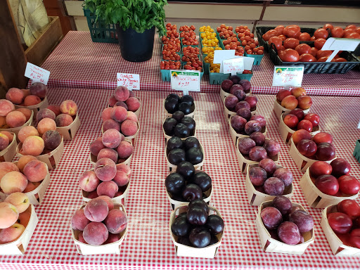 Produce Market «E Draghi & Son Farm Stand», reviews and photos, 86 Main St, South Glastonbury, CT 06073, USA