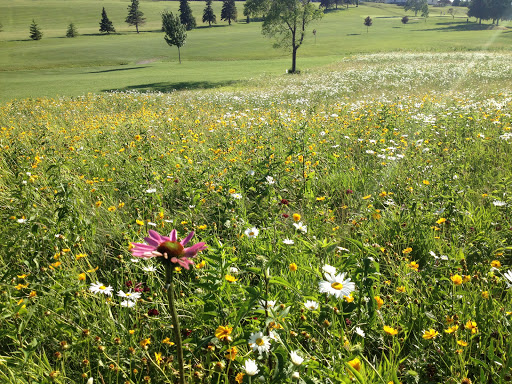 Golf Club «The Canajoharie Golf and Country Club», reviews and photos, 154 Golf Club Rd, Canajoharie, NY 13317, USA