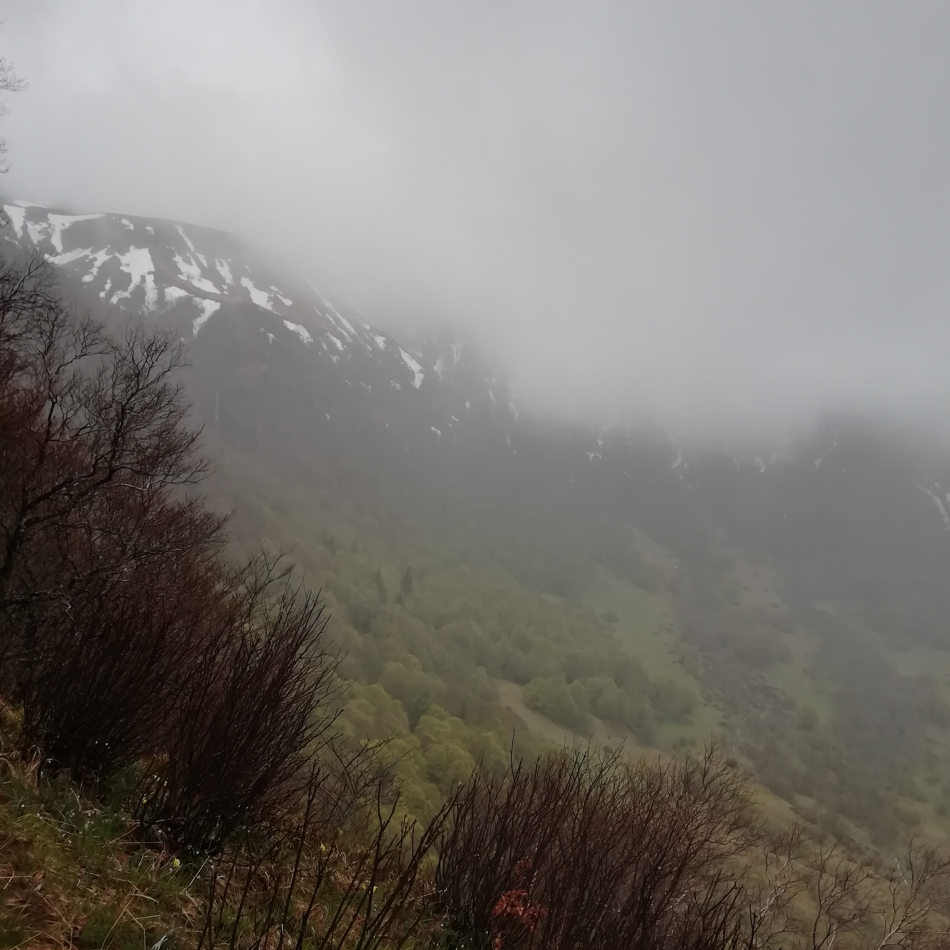 Photo n° 15 de l'avis de saux.o fait le 19/05/2019 à 14:55