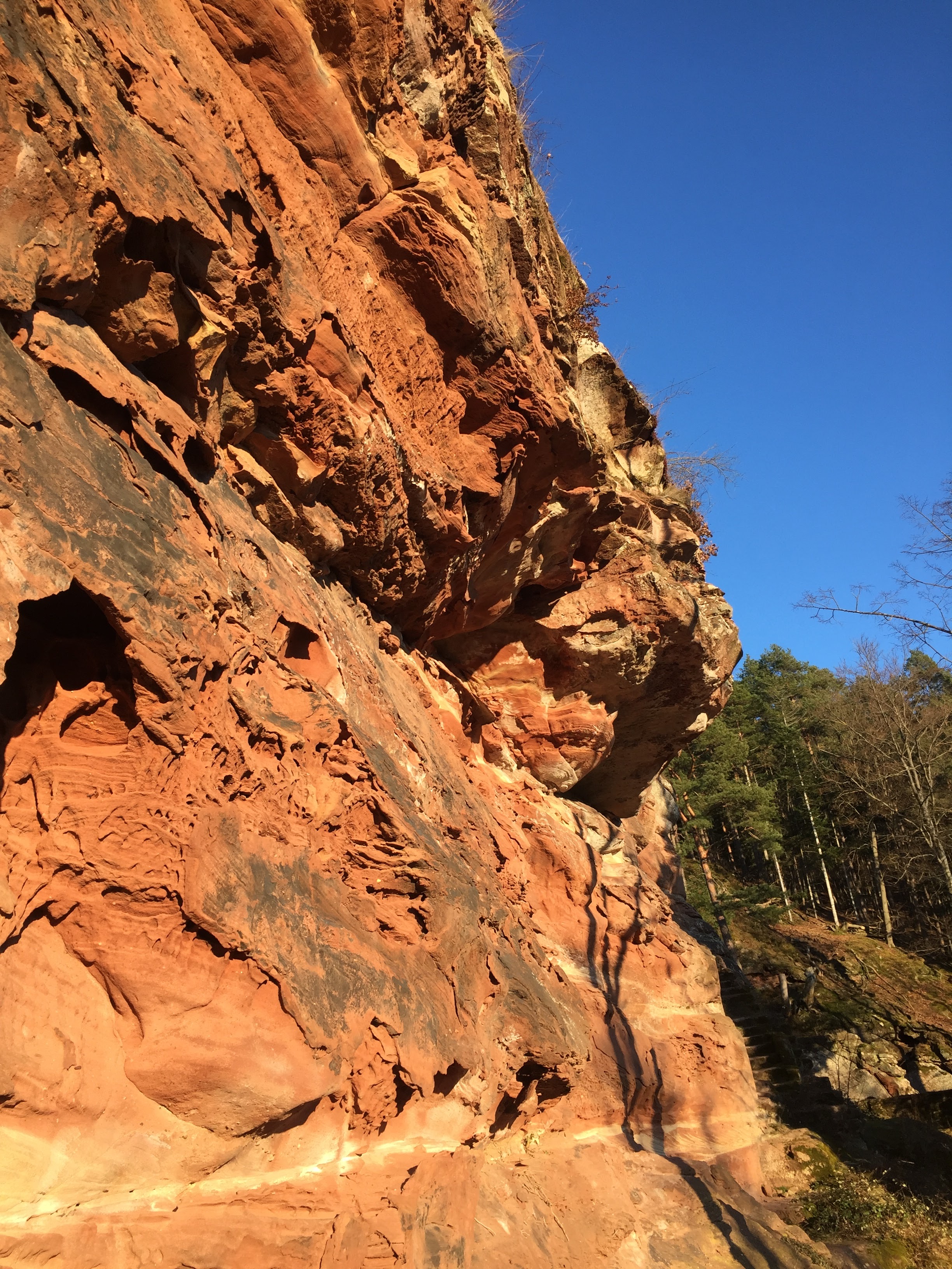 Photo n° 8 de l'avis de Sandra.i fait le 31/12/2020 à 14:00