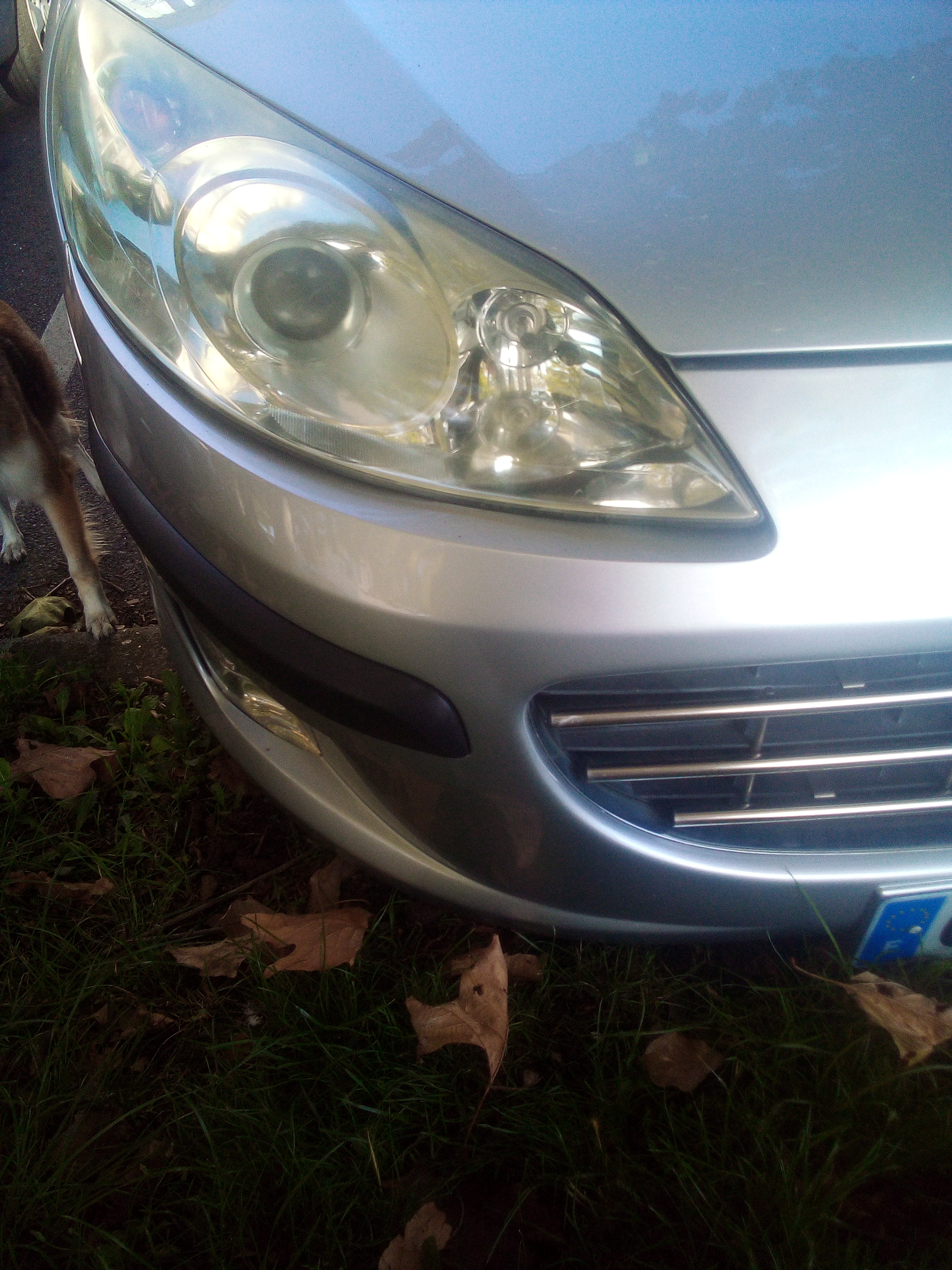Photo n° 8 de l'avis de gomes.a fait le 13/10/2019 à 08:33