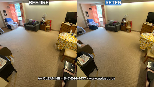 A+ CLEANING, Carpet & Upholstery Cleaning Service, Toronto, Ontario