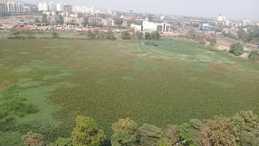 Google Maps image 31