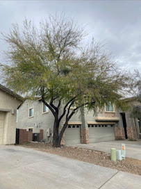 Tucson Siempre verde landscaping llc. - Photo 4 - Car repair in , Tucson
