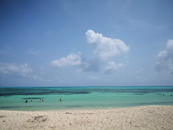 Photo de Playa Punta Sur situé dans une zone naturelle