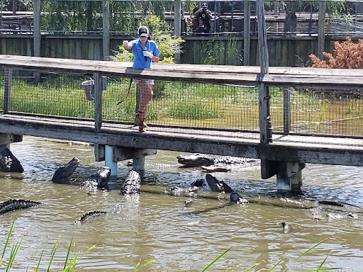 Zoo «Alligator Adventure», reviews and photos, 4604 Hwy 17 S, North Myrtle Beach, SC 29582, USA