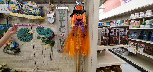 Discount Store «Big Lots», reviews and photos, 50700 Gratiot Ave, Chesterfield, MI 48051, USA