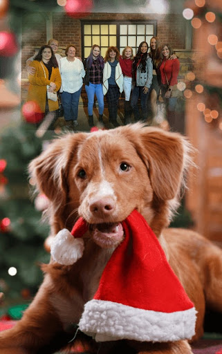 Pet Groomer «A Klassy Lassie, LLC», reviews and photos, 30 Old Jackson Rd, McDonough, GA 30252, USA