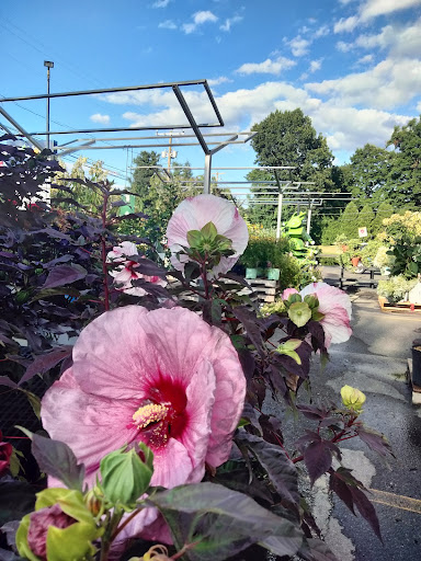 Pet Supply Store «Agway of Middlefield», reviews and photos, 147 Meriden Rd, Middlefield, CT 06455, USA