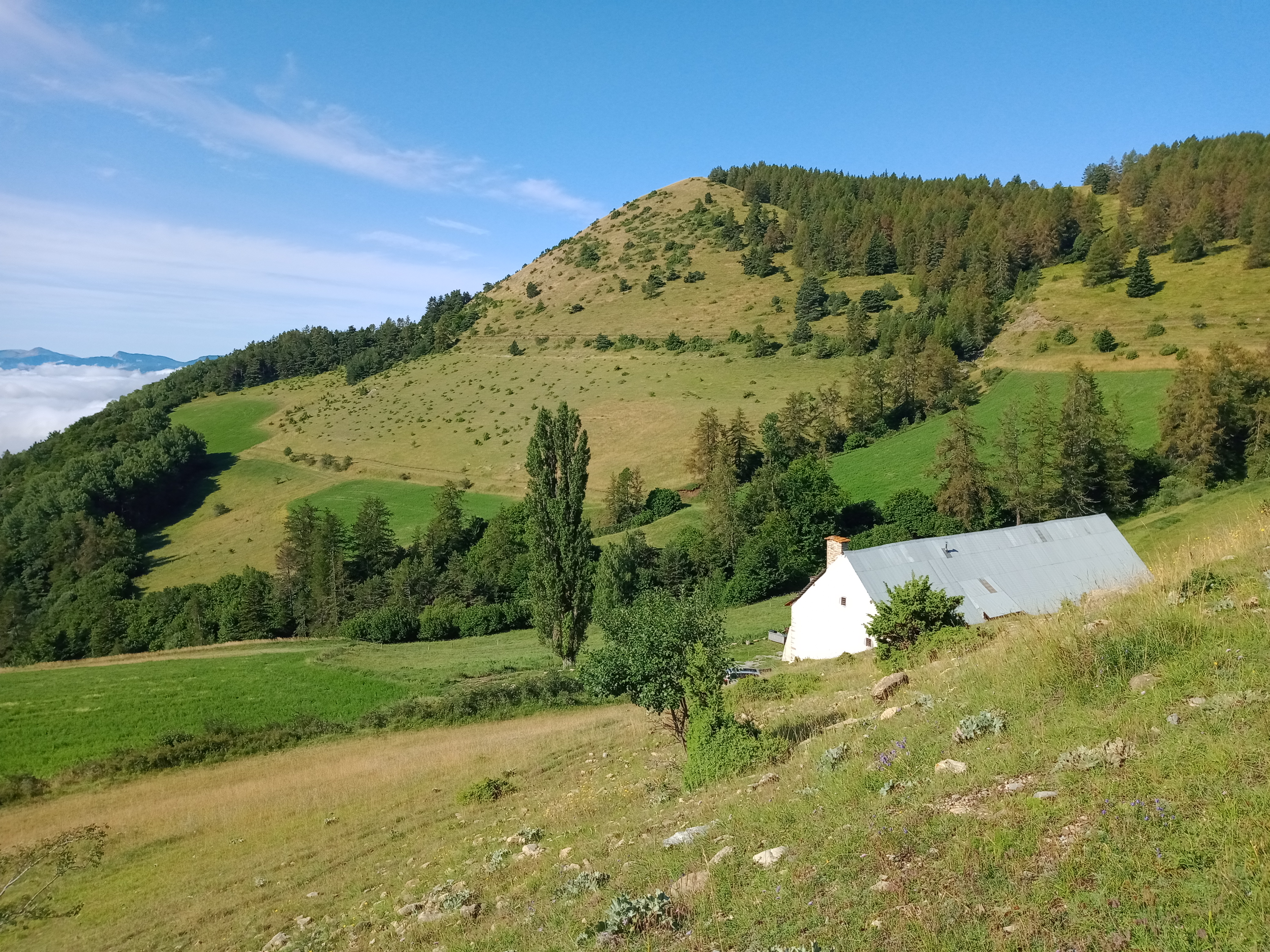 Photo n° 1 de l'avis de Michel.e fait le 09/08/2021 à 07:06