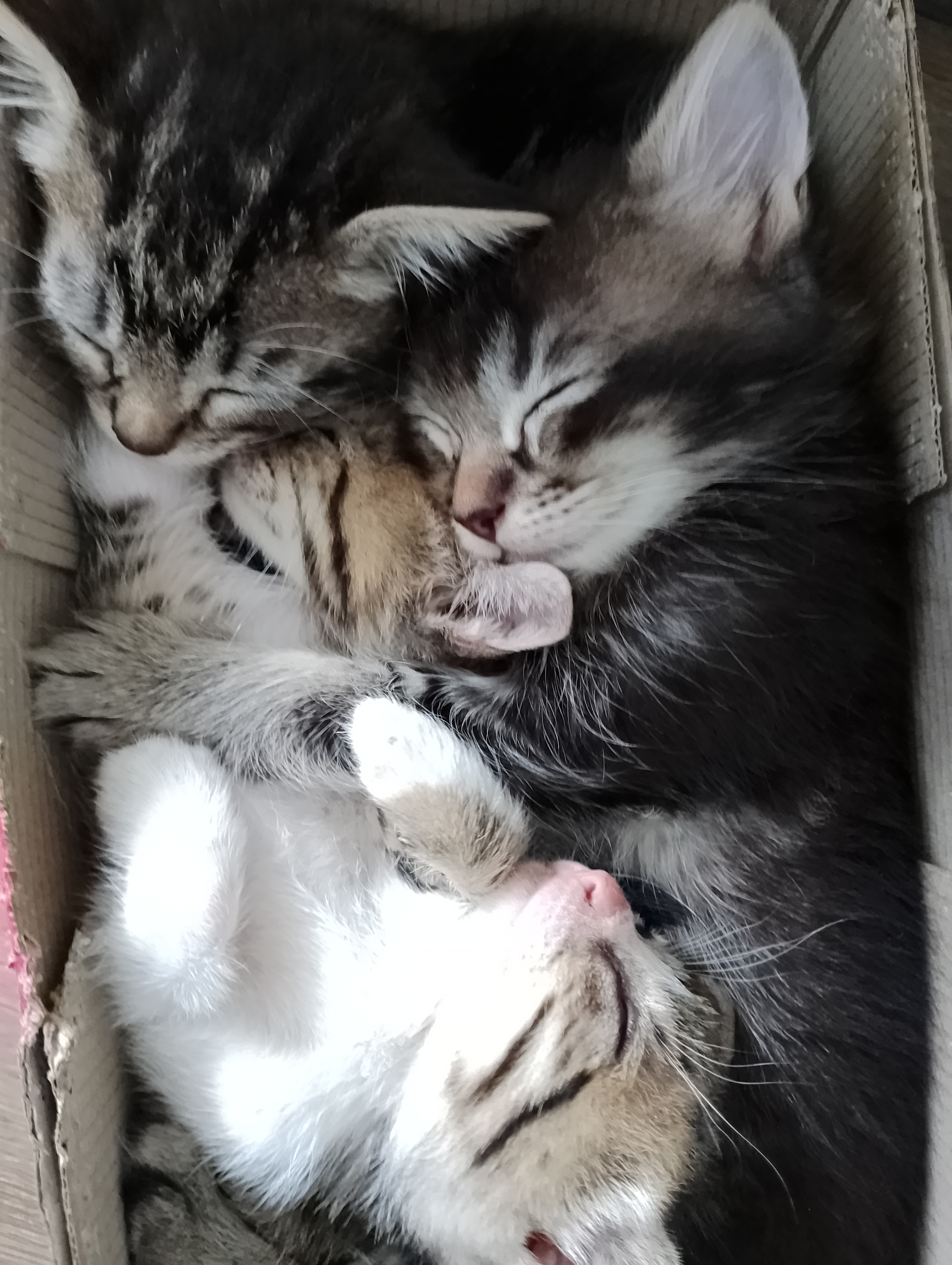Photo n° 2 de l'avis de Gaëtan.e fait le 14/11/2023 à 12:15