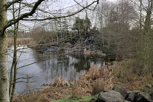 Talking Water Gardens