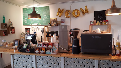 Nine Lives Cat Café