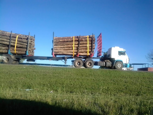 Opiniones de TROZA5 Balanza Agroforestal en Tacuarembó - Oficina de empresa