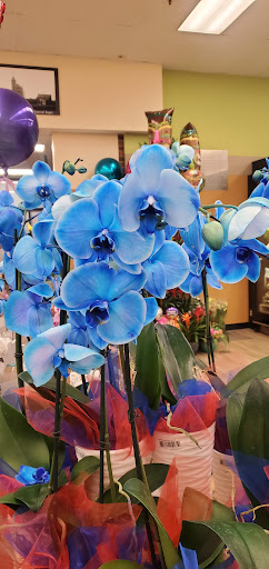 Grocery Store «Jewel-Osco», reviews and photos, 3220 Chicago Rd, Chicago Heights, IL 60411, USA