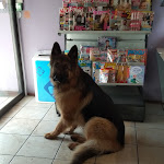 Photo n° 1 de l'avis de fortunato.r fait le 14/02/2019 à 09:39 pour Bar Des Amis à Cevins