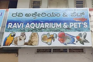 Ravi Aquarium & Pets image