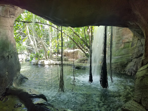 Zoo «Zoo Miami», reviews and photos, 12400 SW 152nd St, Miami, FL 33177, USA