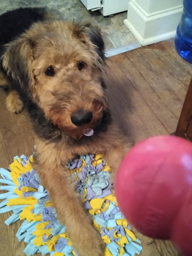 Pet Supply Store «Petco Animal Supplies», reviews and photos, 993 Branson Hills Pkwy, Branson, MO 65616, USA