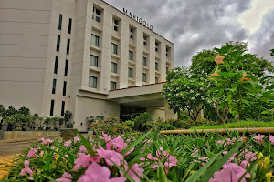 Marigold Hotel image