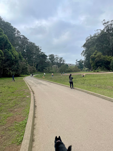 Park «Stern Grove Dog Park», reviews and photos, 100 Vale Ave, San Francisco, CA 94132, USA