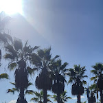 Photo n°4 de l'avis de King.o fait le 25/11/2023 à 02:57 sur le  Lago Montargil & Villas à Montargil