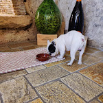 Photo n°1 de l'avis de Clara.o fait le 23/08/2023 à 12:42 sur le  Bollicine Bistrot à Matera