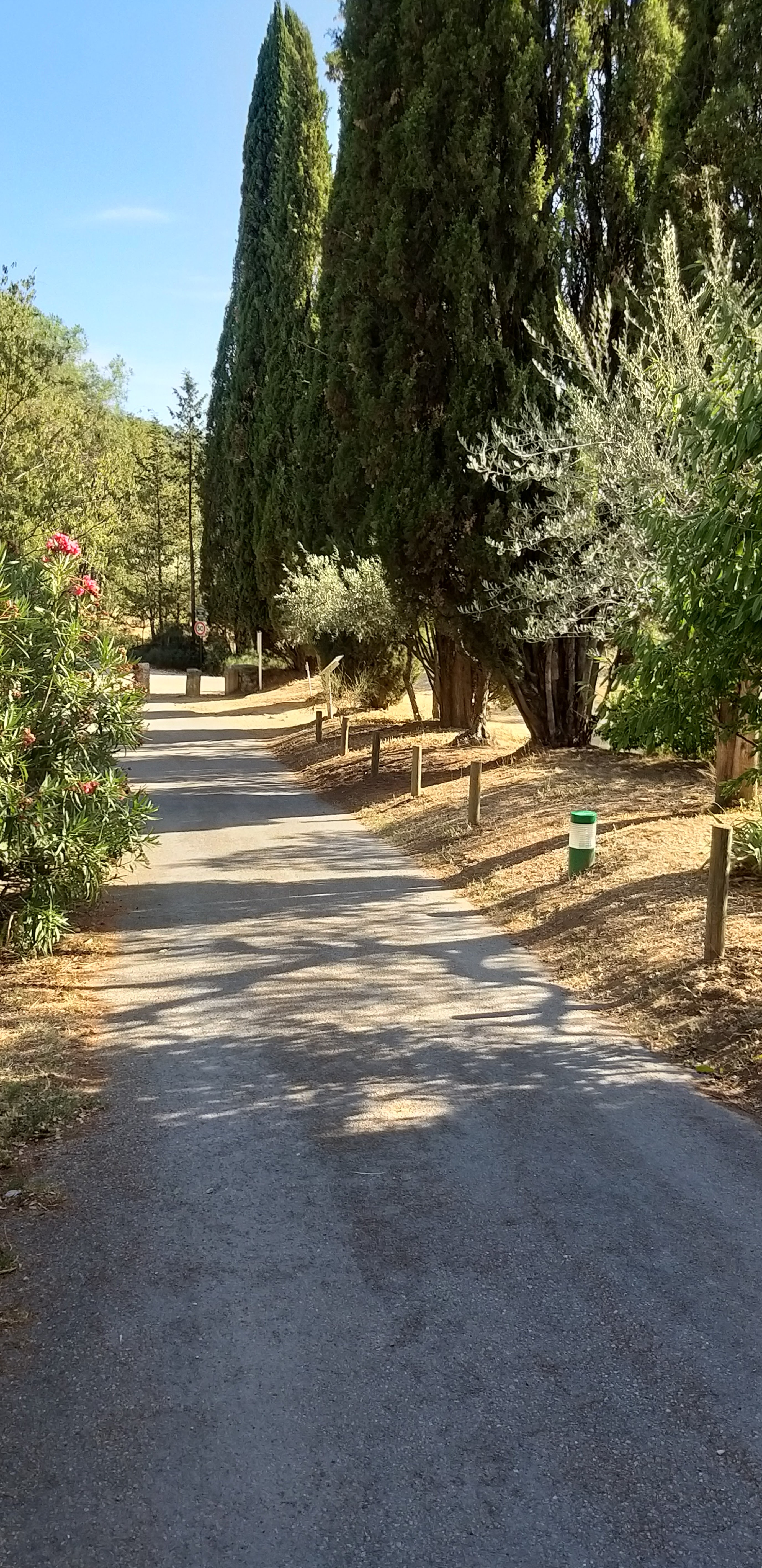 Photo n° 13 de l'avis de unmecdesannees80. fait le 27/08/2019 à 18:09