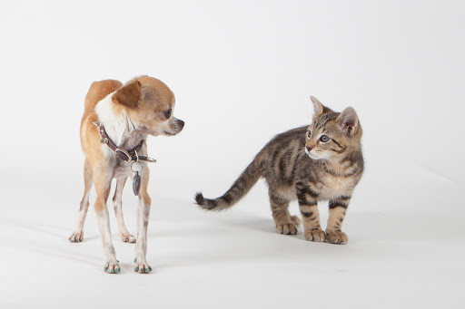 520 W Union Hills Dr #105, Phoenix, AZ 85027, USA