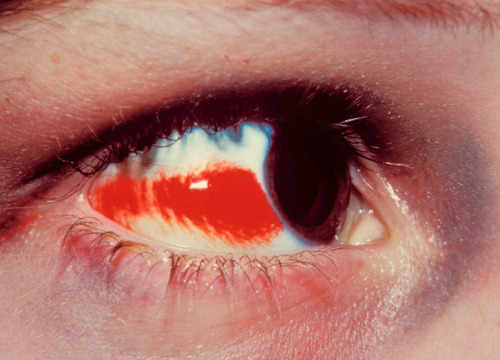 Optometrist «Vision Plus», reviews and photos, 141 S Liberty Dr, Stony Point, NY 10980, USA