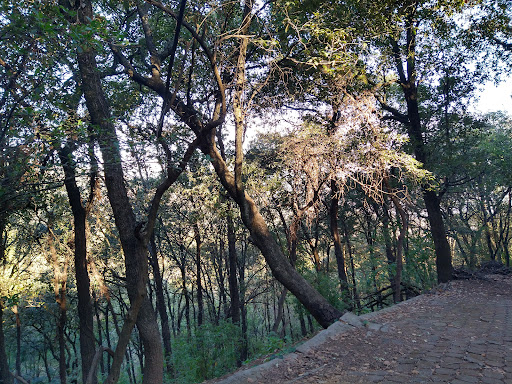 Mexico City Ecological Park